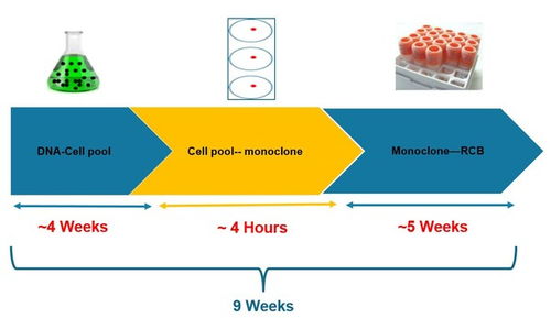 人工智能重塑細胞株開發(fā) Klone 4.0引領(lǐng)細胞技術(shù)新紀元