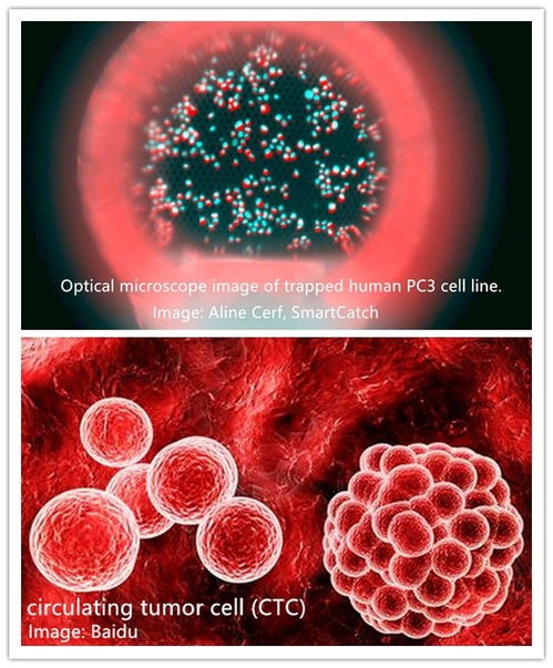 德國Nanoscribe超高精度雙光子微納3D打印設(shè)備 引領(lǐng)細胞技術(shù)研發(fā)與應(yīng)用的革命